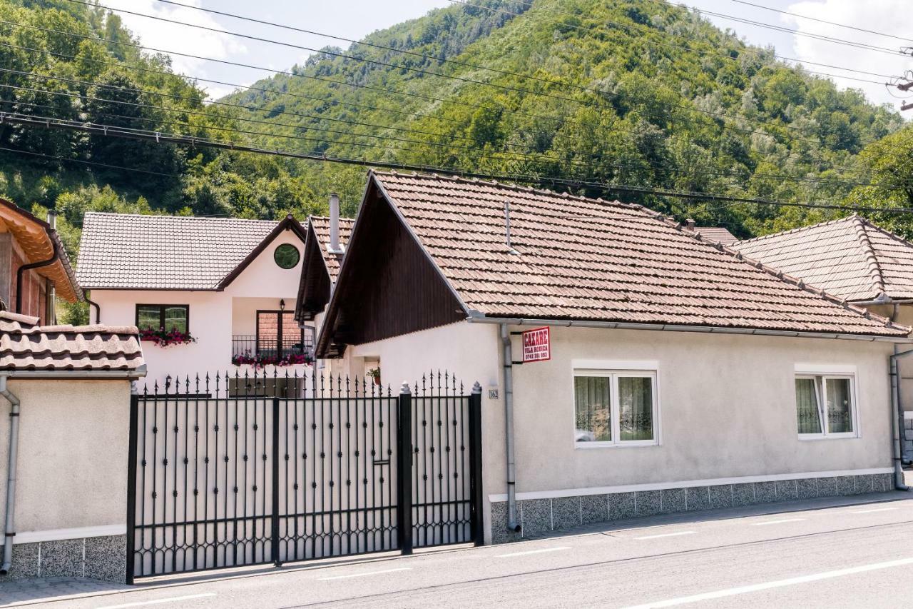 Vila Rodica Transalpina Sugag Exterior photo