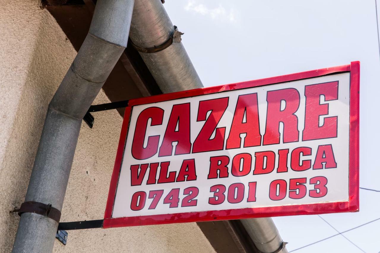 Vila Rodica Transalpina Sugag Exterior photo